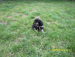 Fotoblog olus112