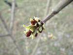 Fotoblog set123