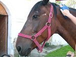 Fotoblog fanta96