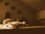 Fotoblog anniaa1005