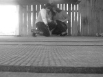 Fotoblog karolina02555