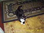 Fotoblog majeczka14