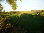 Fotoblog genkiodashite