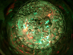 Fotoblog ziomus00