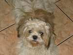 Fotoblog klaudusia0218