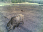 Fotoblog tyczek88