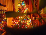 Fotoblog inusuel