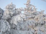 Fotoblog zabieramykredki