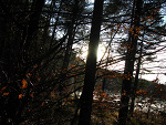 Fotoblog languissant