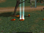 Fotoblog metin12332