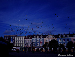 Fotoblog lilx3