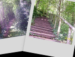 Fotoblog madziakus