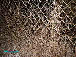 Fotoblog oleska245