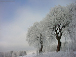 Fotoblog kasiulka0035