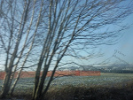 Fotoblog cyclone