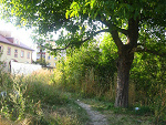 Fotoblog worldslowsdown