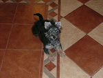 Fotoblog adi1999