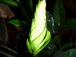 Fotoblog asikslunsk
