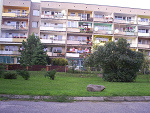 Fotoblog chipmunk