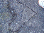 Fotoblog doompelplin