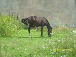 Fotoblog stadninaargos