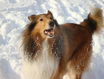 Fotoblog olka8880