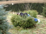 Fotoblog xxxmetalicaxxx