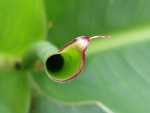 Fotoblog emm111