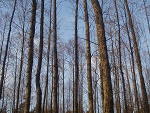 Fotoblog adziulaaa