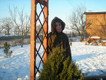 Fotoblog ola6