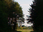 Fotoblog rockcherry