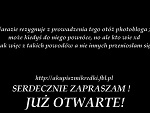 Fotoblog sekswskarpetkach