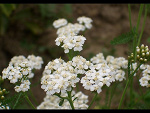 Fotoblog centrumfoto