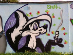Fotoblog thcmagik
