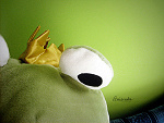 Fotoblog nonesding