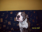 Fotoblog olek00000