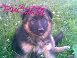 Fotoblog patryszja4