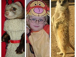 Fotoblog sssijjuhaska