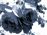 Fotoblog 6blac6kemo6