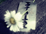 Fotoblog nietwojcukiereczek