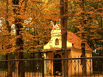 Fotoblog niesfornamadzia