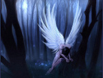 Fotoblog blackrosexamorek