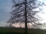 Fotoblog agusiakozusia