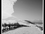 Fotoblog szympek1991