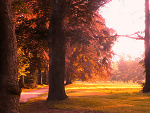 Fotoblog quesse