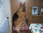 Fotoblog gosiaczek1617