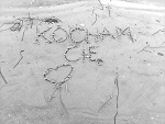 Fotoblog rybooocie