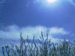 Fotoblog pixelview