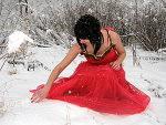 Fotoblog frozenrose