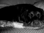 Fotoblog kredkadooczu